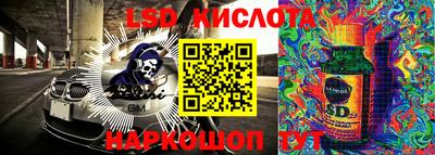 стаф Краснодар