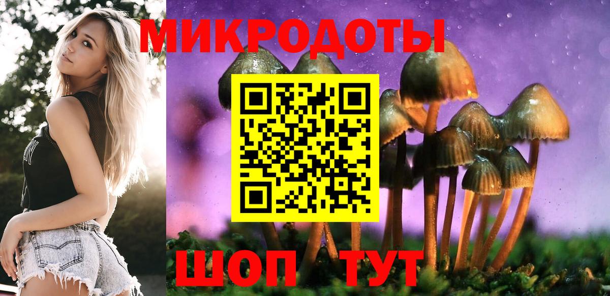 Псилоцибиновые грибы Psilocybine cubensis Обнинск