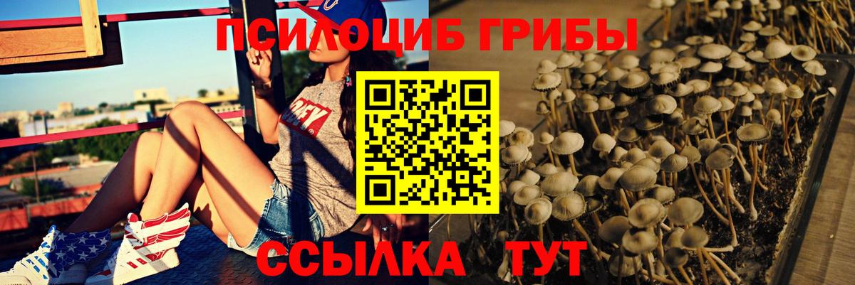 Галлюциногенные грибы GOLDEN TEACHER  Вход с VPN  Псилоцибиновые грибы MAGIC MUSHROOMS  Обнинск 